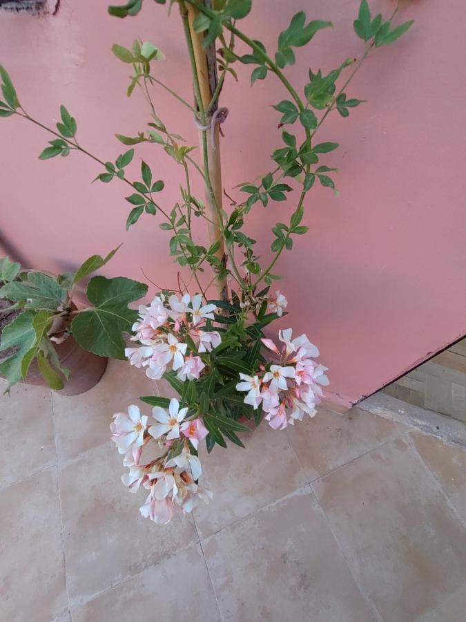 Maison Noe , Residence Al Quaria , Ab40 Marrakesh Ngoại thất bức ảnh